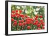 152-Incredi-Framed Giclee Print