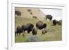 1567 Badlands-Gordon Semmens-Framed Photographic Print