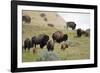 1567 Badlands-Gordon Semmens-Framed Photographic Print