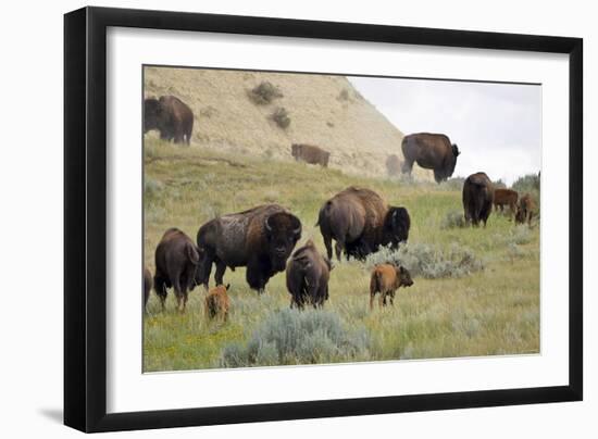 1567 Badlands-Gordon Semmens-Framed Photographic Print