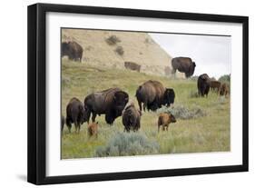 1567 Badlands-Gordon Semmens-Framed Photographic Print