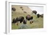 1567 Badlands-Gordon Semmens-Framed Photographic Print