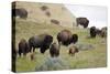 1567 Badlands-Gordon Semmens-Stretched Canvas