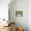 15COF-Pierre Henri Matisse-Giclee Print displayed on a wall