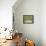 15COF-Pierre Henri Matisse-Framed Stretched Canvas displayed on a wall