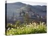 15th Century Fortified Church, Biertan, Nr. Sighisoara, Transylvania, Romania-Peter Adams-Stretched Canvas