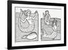 15th Century German Woodcut Print-CCI Archives-Framed Photographic Print