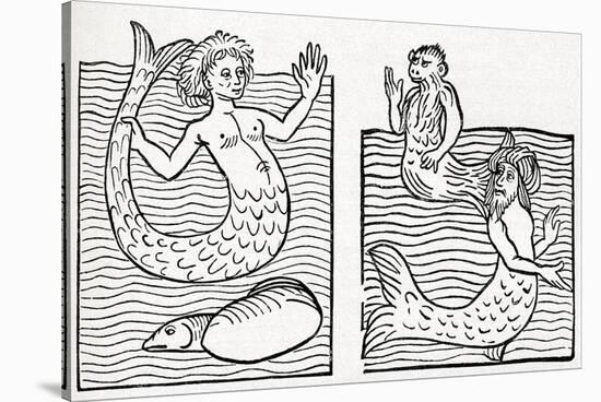 15th Century German Woodcut Print-CCI Archives-Stretched Canvas
