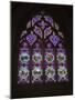 15th Century Stained Glass Window in the Cathedrale St-Corentin, Southern Finistere, France-Amanda Hall-Mounted Photographic Print