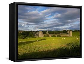 15th Century Walls around Augustinian Monestary, Kells, County Kilkenny, Ireland-null-Framed Stretched Canvas
