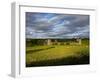 15th Century Walls around Augustinian Monestary, Kells, County Kilkenny, Ireland-null-Framed Photographic Print