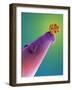 16-cell Human Embryo on a Pin, SEM-Dr. Yorgos Nikas-Framed Photographic Print