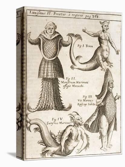 1662 Schott Sea Monsters And Mermaids-Stewart Stewart-Stretched Canvas
