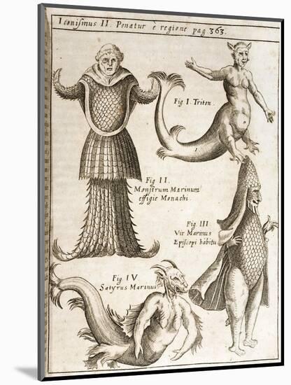 1662 Schott Sea Monsters And Mermaids-Stewart Stewart-Mounted Photographic Print