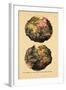 1690, World-null-Framed Giclee Print