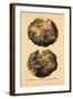 1690, World-null-Framed Giclee Print