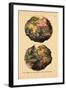 1690, World-null-Framed Giclee Print