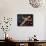 16G-Pierre Henri Matisse-Framed Stretched Canvas displayed on a wall