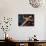 16G-Pierre Henri Matisse-Giclee Print displayed on a wall