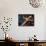 16G-Pierre Henri Matisse-Mounted Giclee Print displayed on a wall