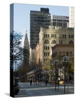 16th Street Mall, Denver, Colorado, USA-Ethel Davies-Stretched Canvas