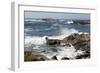 17-Mile Drive, Scenic Road Through Monterey, California-Carol Highsmith-Framed Photo