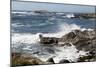 17-Mile Drive, Scenic Road Through Monterey, California-Carol Highsmith-Mounted Photo