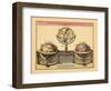 1716, World-null-Framed Giclee Print