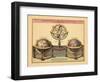 1716, World-null-Framed Giclee Print