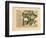 1741, Africa-null-Framed Giclee Print