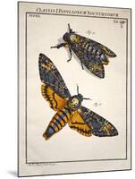 1744 Death's Head Hawkmoth by Rosenhoff.-Paul Stewart-Mounted Photographic Print