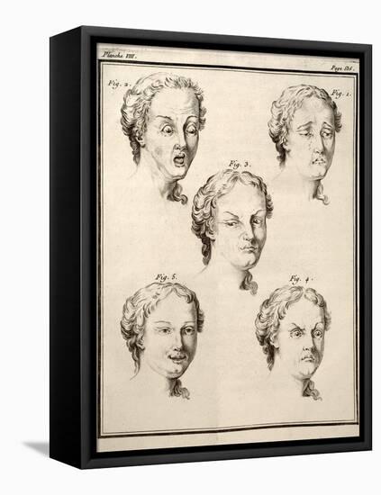 1749 Human Emotions And Expression Buffon-Paul Stewart-Framed Stretched Canvas