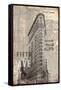 175 Fifth Avenue-Evangeline Taylor-Framed Stretched Canvas