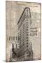 175 Fifth Avenue-Evangeline Taylor-Mounted Art Print