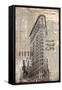 175 Fifth Avenue-Evangeline Taylor-Framed Stretched Canvas