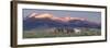 175-Dan Ballard-Framed Photographic Print