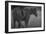 176-Dan Ballard-Framed Photographic Print