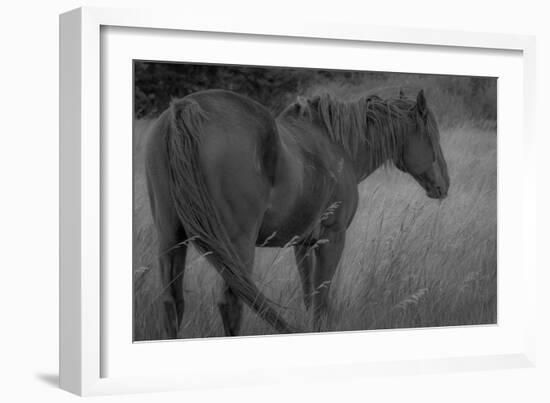 176-Dan Ballard-Framed Photographic Print