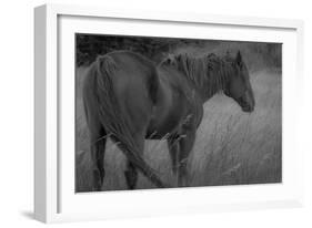 176-Dan Ballard-Framed Photographic Print