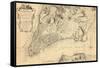 1776, New York City From 1767 Survey, New York, United States-null-Framed Stretched Canvas