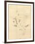 1798 Map of the Galapagos Islands in the Pacific Ocean-null-Framed Art Print