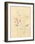 1798 Map of the Galapagos Islands in the Pacific Ocean-null-Framed Art Print