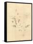 1798 Map of the Galapagos Islands in the Pacific Ocean-null-Framed Stretched Canvas