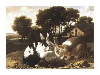 Two Rabbits In A Landscape-17th Century Haarlem School-Premium Giclee Print