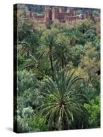 17th Century Kasbah Amerhidl and the Lush Skoura Palmery, Morocco-Merrill Images-Stretched Canvas