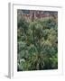 17th Century Kasbah Amerhidl and the Lush Skoura Palmery, Morocco-Merrill Images-Framed Photographic Print