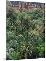 17th Century Kasbah Amerhidl and the Lush Skoura Palmery, Morocco-Merrill Images-Mounted Photographic Print