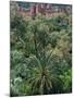 17th Century Kasbah Amerhidl and the Lush Skoura Palmery, Morocco-Merrill Images-Mounted Photographic Print