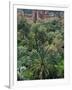 17th Century Kasbah Amerhidl and the Lush Skoura Palmery, Morocco-Merrill Images-Framed Photographic Print