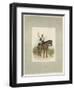 17th Lancers, a Trooper in Review Order-Charles Green-Framed Giclee Print